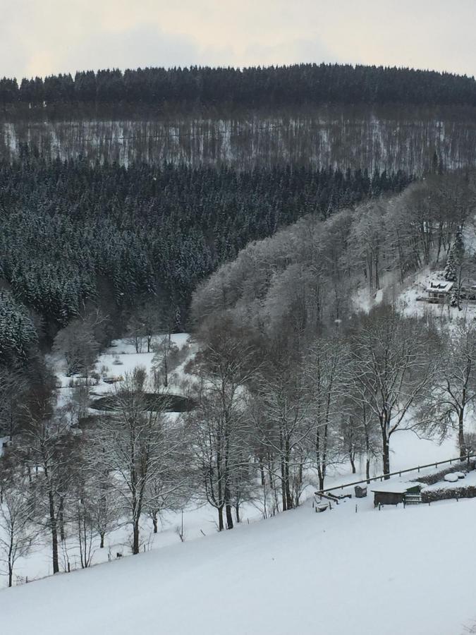 Ferienwohnung Nordenau Schmallenberg Exteriér fotografie